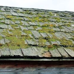 Glasgow moss removal services