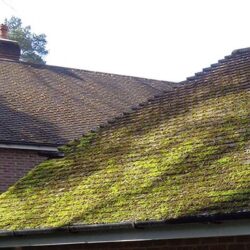 moss removal services near me in Glasgow